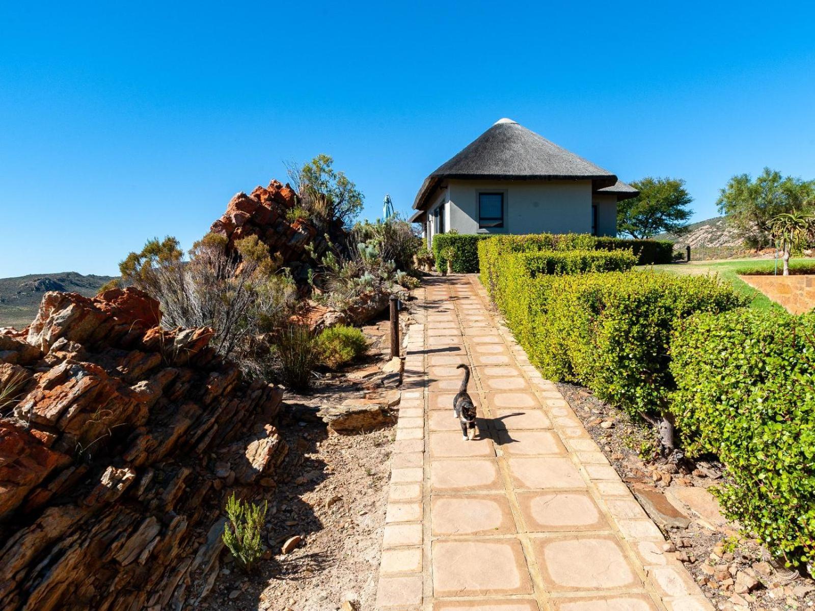 Rooilande Guest Farm Guest House Laingsburg Luaran gambar